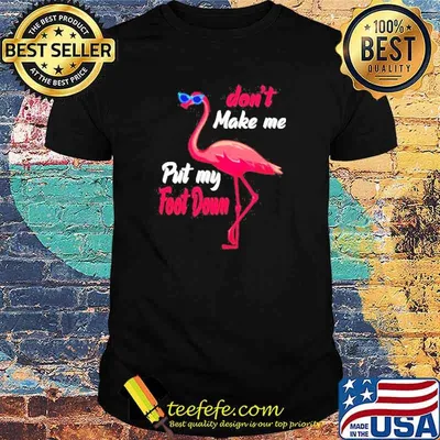 Nice flamingo don’t make me put my foot down shirt