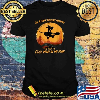 On A Dark Desert Highway Cool Wind In my Hair Witch riding broom moon halloween T-Shirt