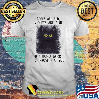 Roses are red violets are blue if i had a brick id throw it at you cat shirt