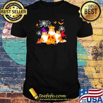 Shetland Sheepdog Pumpkin Halloween Shirt