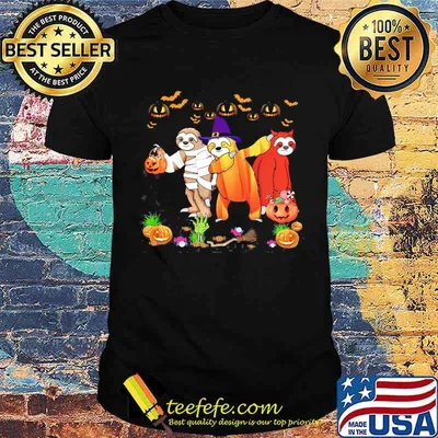 Sloth And Friend Halloween Shirt
