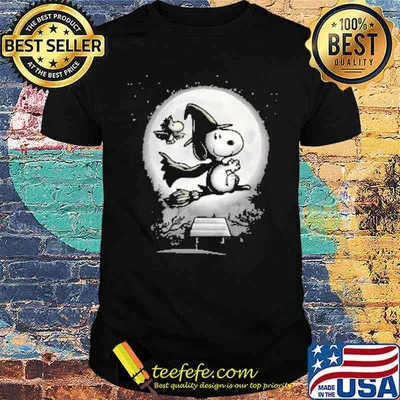 Snoopy and woodstock moon witch shirt