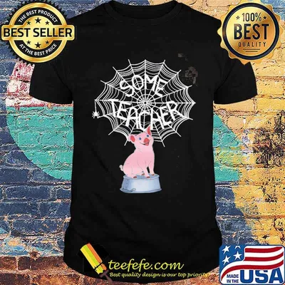 Some teacher pig shirt
