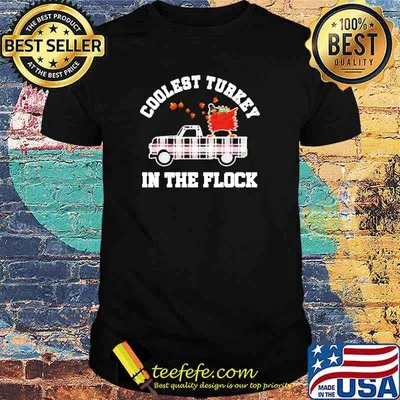 Thanksgiving lover costume plaid truck coolest turkey in the flock shirt