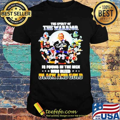 The spirit of the warrior is found in the men who bleed black and gold Pittsburgh Steelers shirt