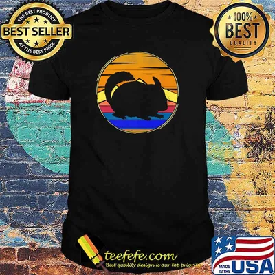Vintage Chinchilla Retro Sunset Animal Lover T-Shirt