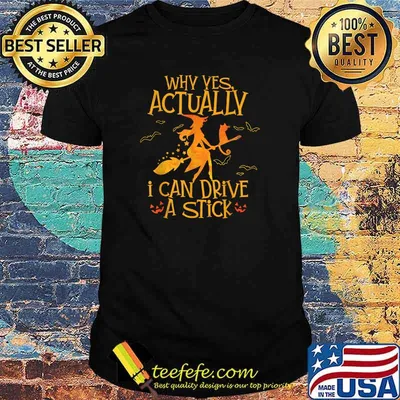 Why Yes Actually I Can Drive A Stick Halloween Witch Broom The Cat T-Shirt