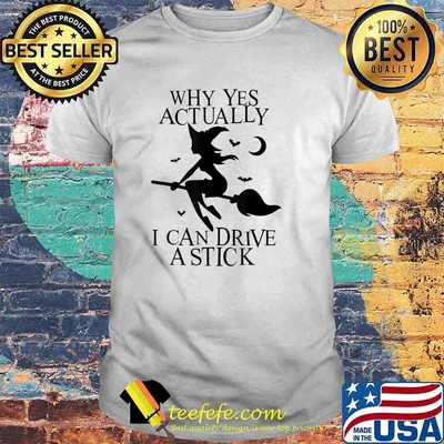 Why Yes Actually I Can Drive A Stick Witch Costume T-Shirt