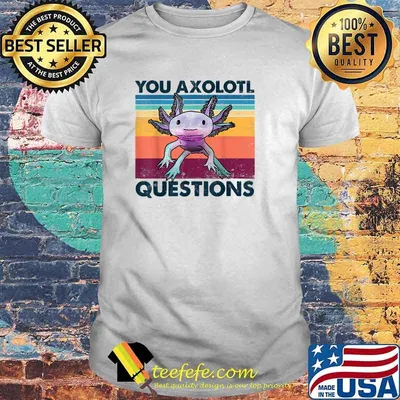 You Axolotl Questions Vintage T-Shirt