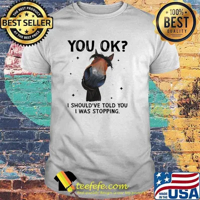 You Ok i should've told you i was stopping Horse shirt