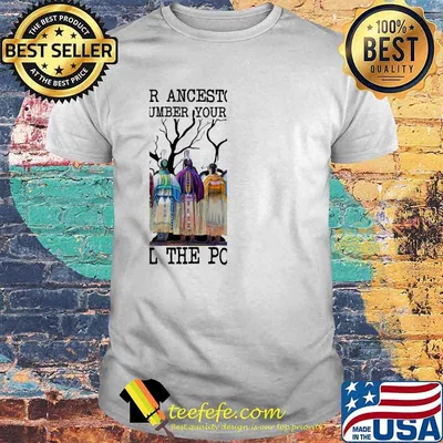 Your Ancestors Out Number Your Fear Feel The Power Native America Shirt