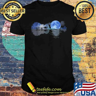 Acoustic Guitar Lake Shadow Nature Guitar Player Guitarist T-Shirt