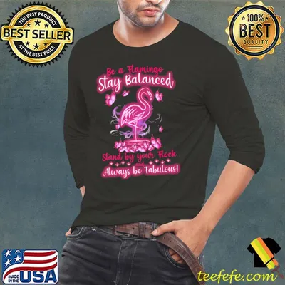 Be a flamingo stay balanced stand by your flock and always be fabulous butterflies shirt