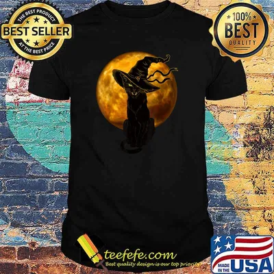 Beautiful Halloween Black Cat with Witch Hat Full Moon - Cat T-Shirt