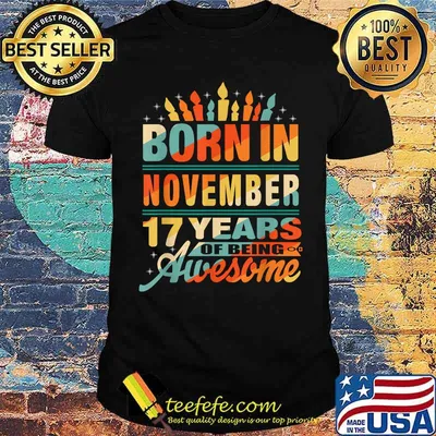 Born In November 17 Years Of Being Awesome 2004 17 Year Old Retro T-Shirt