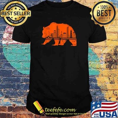 Chicago Downtown City Skyline Illinois Pride T-Shirt