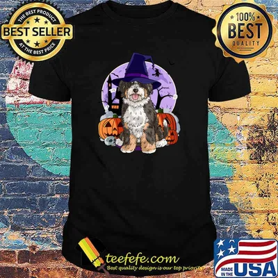 Cute Bernedoodle Halloween Witch Pumpkin T-Shirt