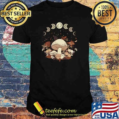 Cute Cottagecore Moon phases and mushrooms Fall T-Shirt