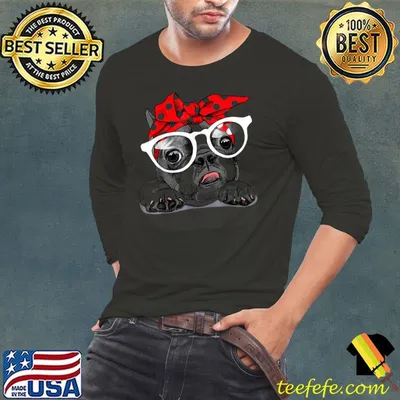 Cute French Bulldog Colorful Headband And Glasses T-Shirt