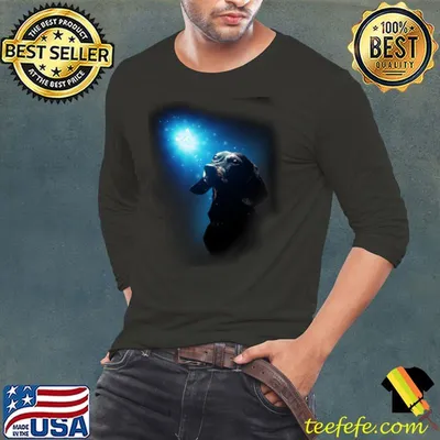 Dachshund Look For The Light In The Darkness For Dachshund The Dog Shirt