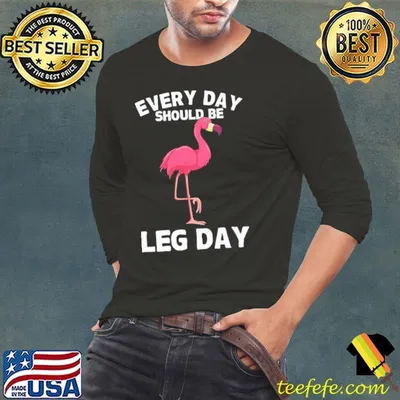 Every Day Should Be Leg Day Flamingo Shirt