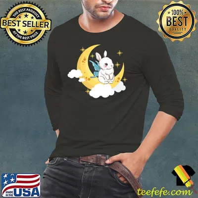 Fairycore Aesthetic Fairy Bunny Rabbit On A Crescent Moon T-shirt