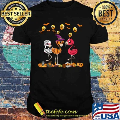 Flamingoween Witch Pumpkin Mummy Flamingo Halloween T-Shirt