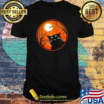 Funny Black Cat Witch Halloween Moon Night Scary Cat Costume Raglan Baseball T-shirt