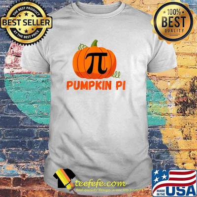 Funny Pumpkin Pie Math, Pumpkin Pi Funny Halloween Costume T-Shirt