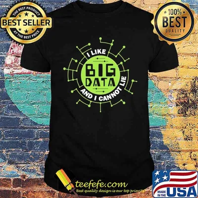 I Like Big Data And I Cannot Lie Shirt