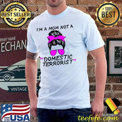 I'm a mom not a domestic terrorist T-Shirt