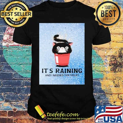 It’s Raining And I Needed The Toilet Cat Shirt (resized)