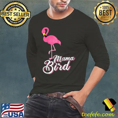 Mama Bird Novelty Flamingo Lover Mama Bird Flamingo Raglan Baseball T-shirt