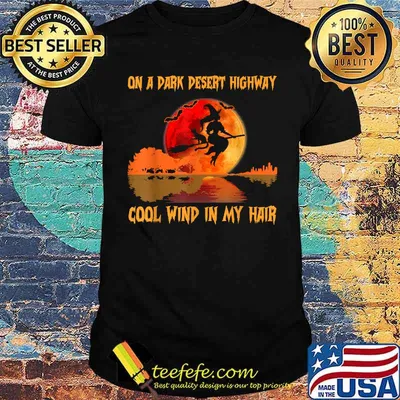 On A Dark Desert Highway Witch Feels Cool Wind in My Hair Vintage T-Shirt