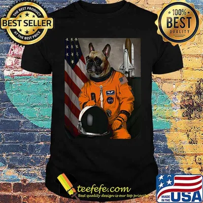 Pitbull dog pilot american flag shirt