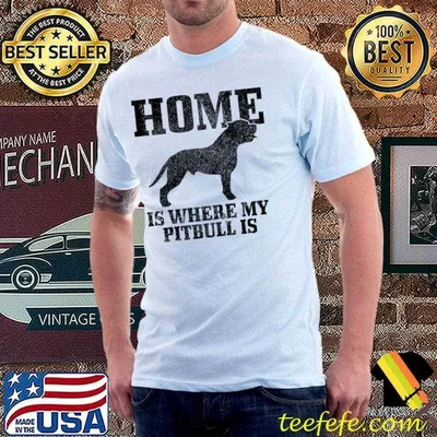 Pitbull Home Is Where My Pitbull Is Funny Dog Mom Dad Raglan Baseball T-shirt