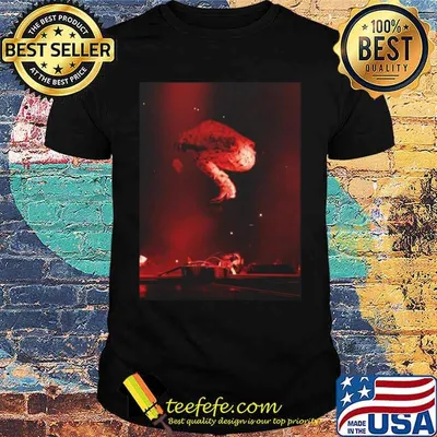 Post Malone Stage Jump Shirt