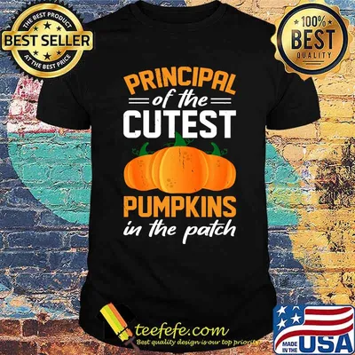 Principal Of The Cutest Pumpkins In The Patch Halloween T-Shirt