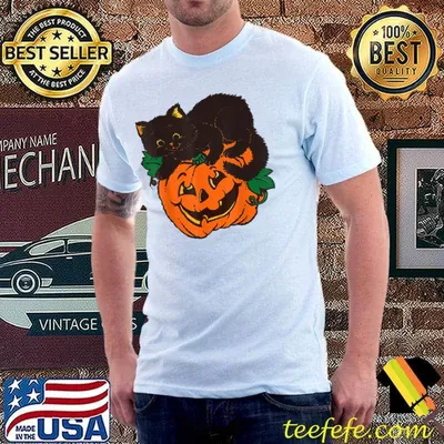 Pumpkin And Black Cat Halloween Vintage Costume T-Shirt