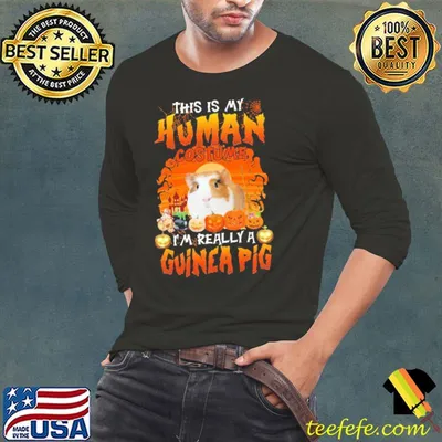 Pumpkins This Is My Human Costume I'm Really A Guinea Pig Halloween Shirt