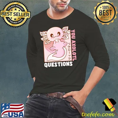 Retro 90s Axolotl Shirt Funny You Axolotl Questions T-Shirt