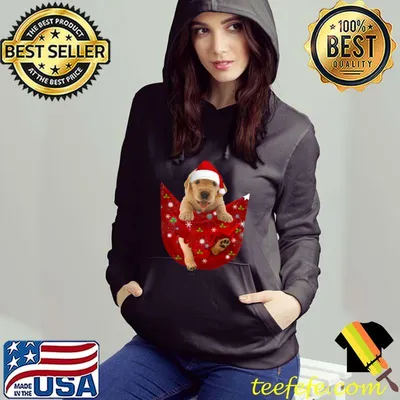 Santa Golden Retriever In The Pocket Christmas Santa Dog T-Shirt