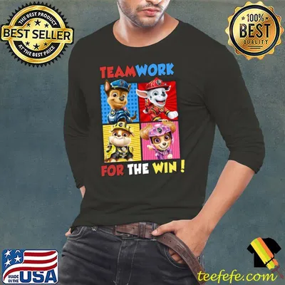 Teamwork For The Win Dog Shirt