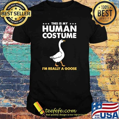 This Is My Human Costume Im Really A Goose T-Shirt