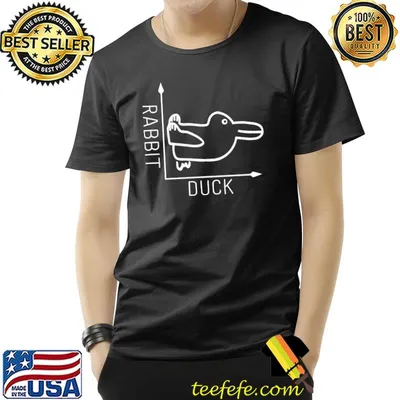 Wittgenstein Rabbit Duck Illusion Classic T-Shirt