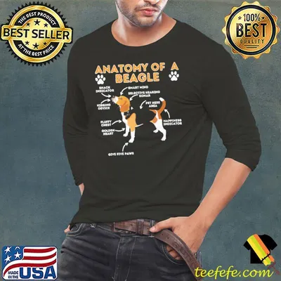 Anatomy Of A Beagle Shirt