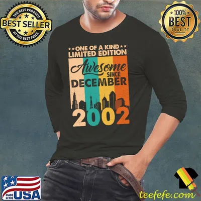 Awesome Awesome Since December 2002 Vintage 19th Birthday T-Shirt