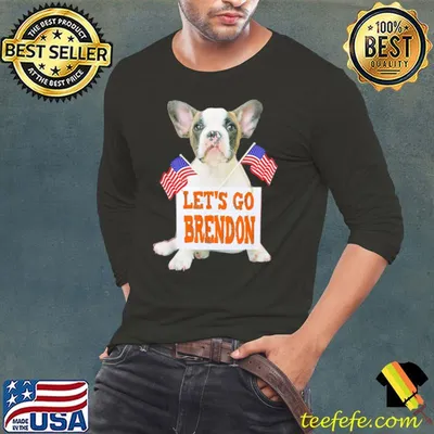 Awesome lets Go Brandon Dog US Flag T-Shirt