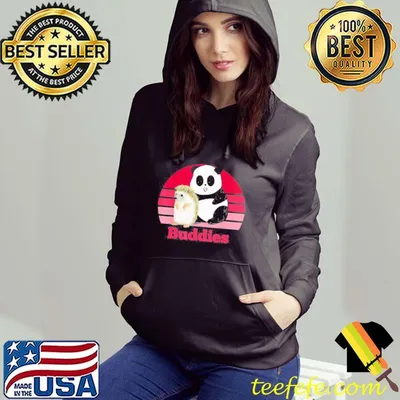 Best Hedgehog and Panda Bear Buddies Besties Retro Sunset Shirt