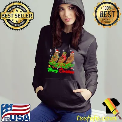 Christmas Pajama Owl Hat Santa Xmas Lights Shirt
